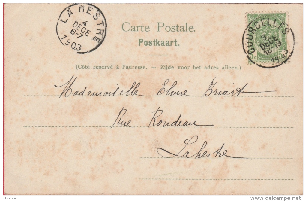 Courcelles - Brasserie /Brouwerij Et Château De Rianwelz - 1903  ( Voir Verso ) - Courcelles