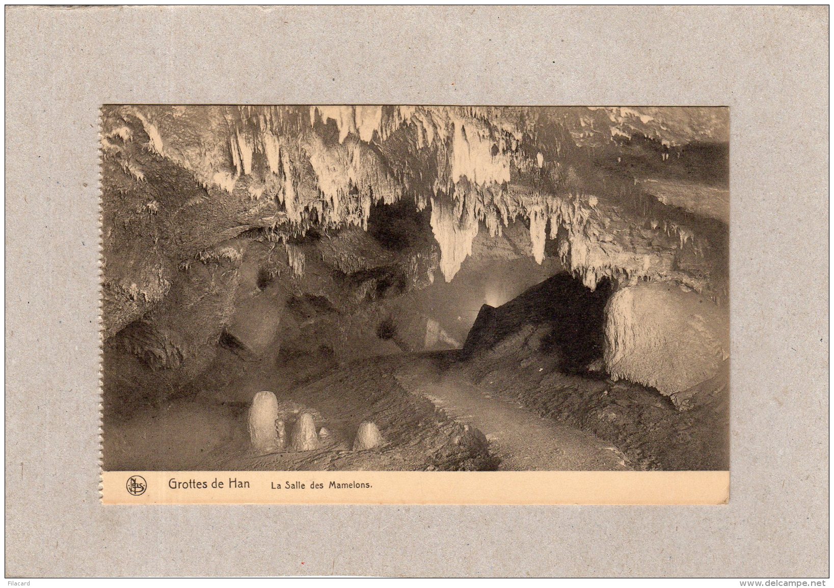 63045    Belgio,  Grotte De Han,  La  Salle Des Mamelons,  NV - Rochefort