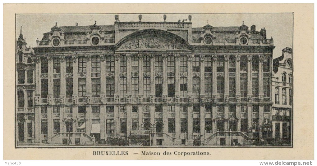 BRUXELLES  MAISON DES  CORPORATIONS    7X14    (NUOVA  ) - Altri & Non Classificati