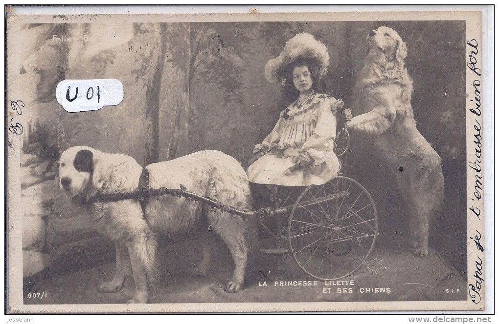 VOITURE A CHIENS- LA PRINCESSE LILETTE ET SES CHIENS- EXPEDIEE DE TROYES - Other & Unclassified