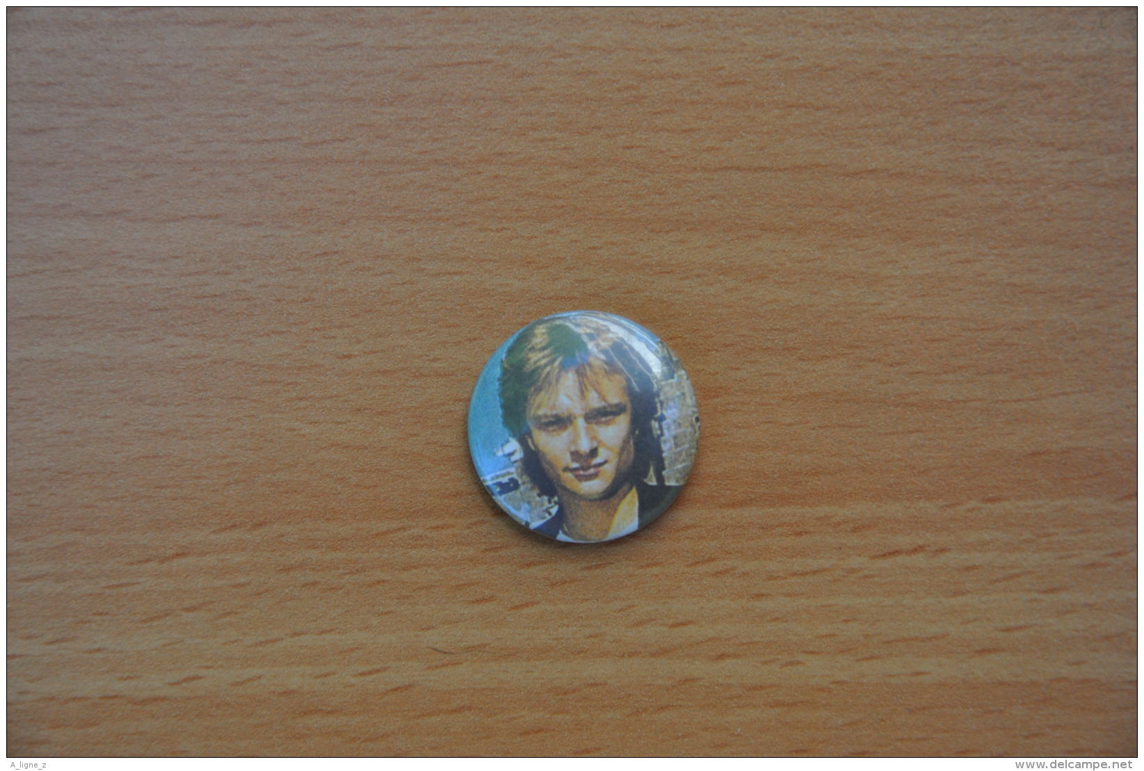 REF Y2  : Badge Ancien Epok 1980 Punk Pop Hard Rock Pin's David Hallyday - Musique