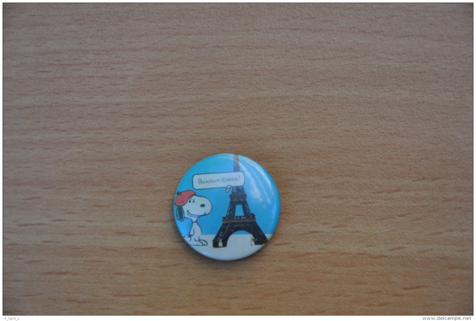 REF Y2  : Badge Ancien Epok 1980 Punk Pop Hard Rock Pin's Snoopy Tour Eiffel - Musique