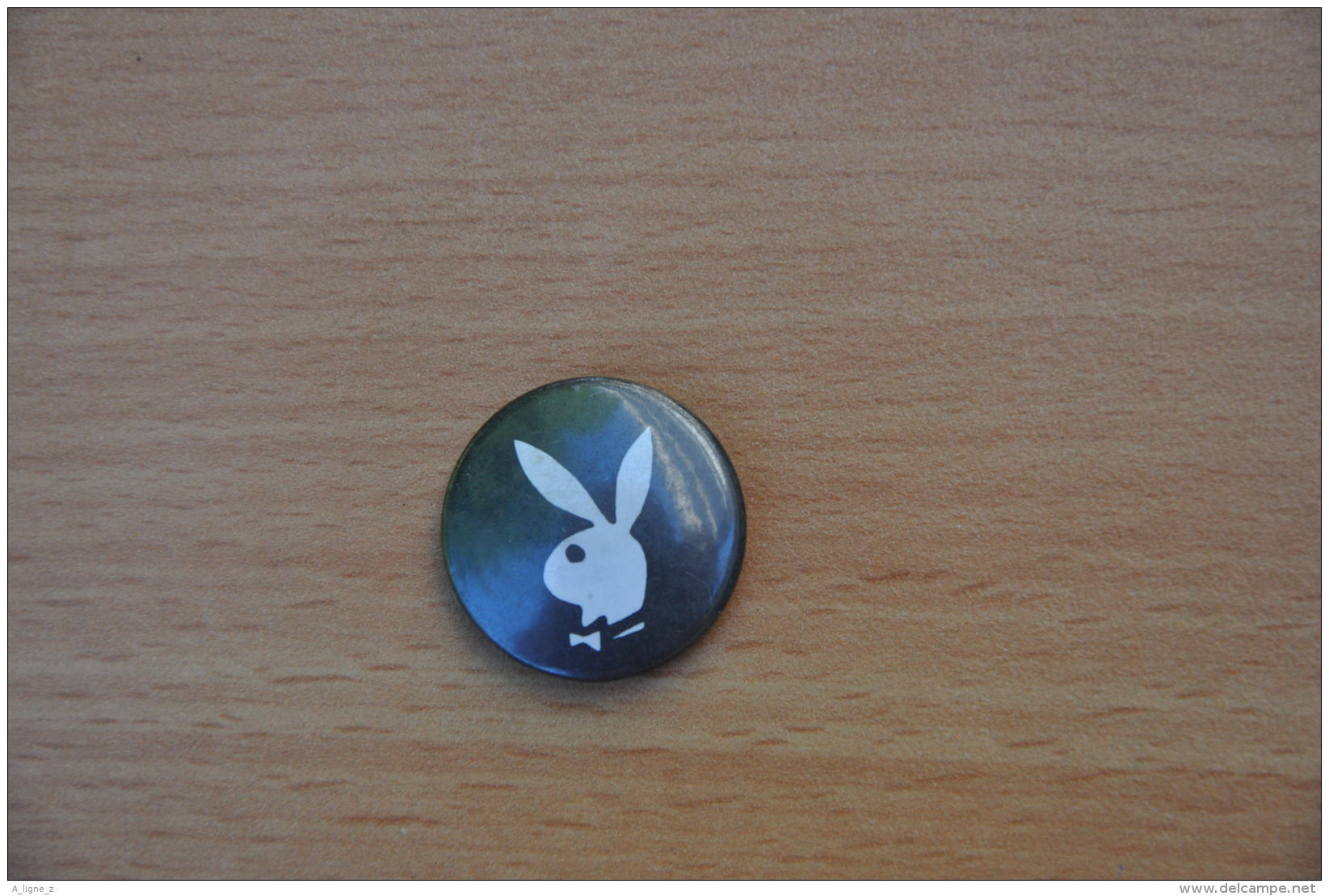 REF Y2  : Badge Ancien Epok 1980 Punk Pop Hard Rock Pin's Lapin Playboy - Musique