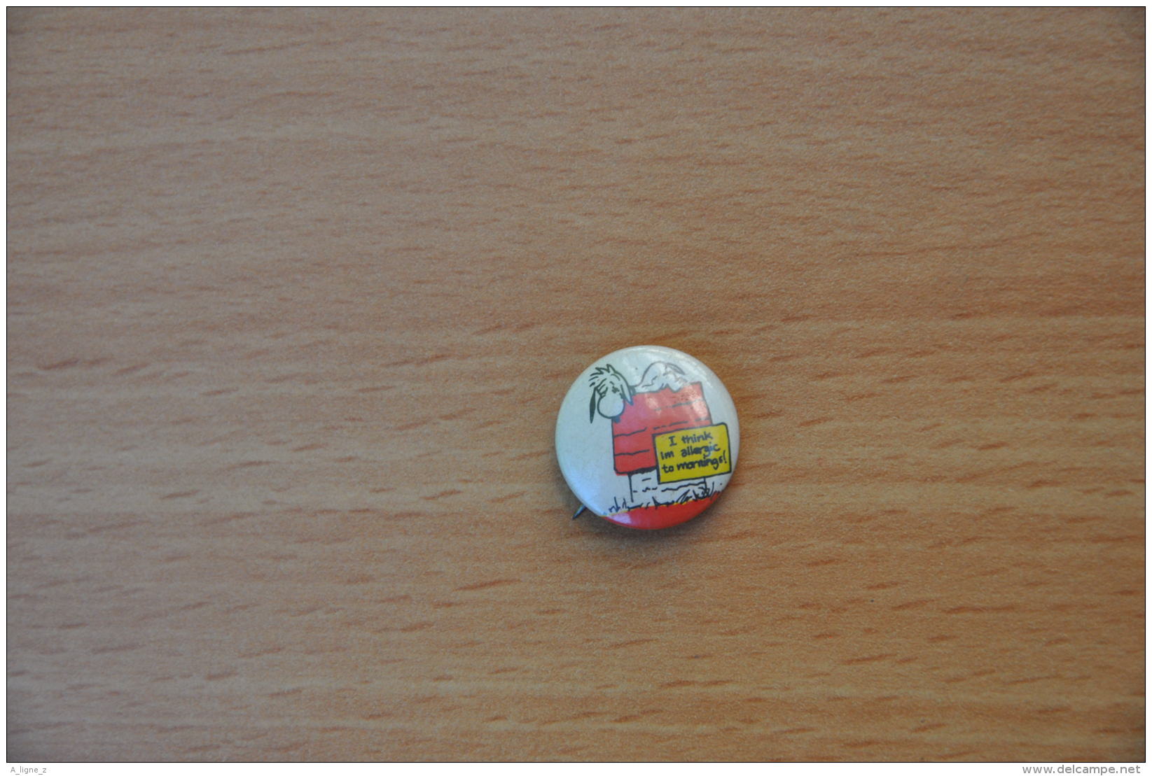 REF Y2  : Badge Ancien Epok 1980 Punk Pop Hard Rock Pin's Snoopy Petit Format - Musique