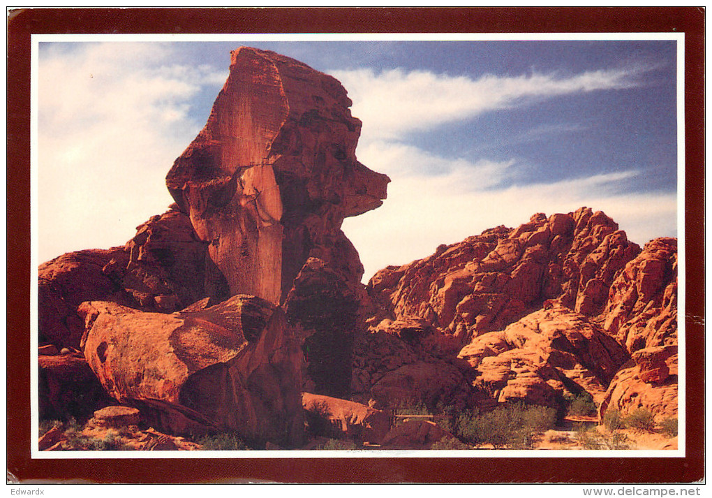 Poodle Rock, Valley Of Fire State Park, Nevada, United States US Postcard Posted 2007 Stamp - Other & Unclassified