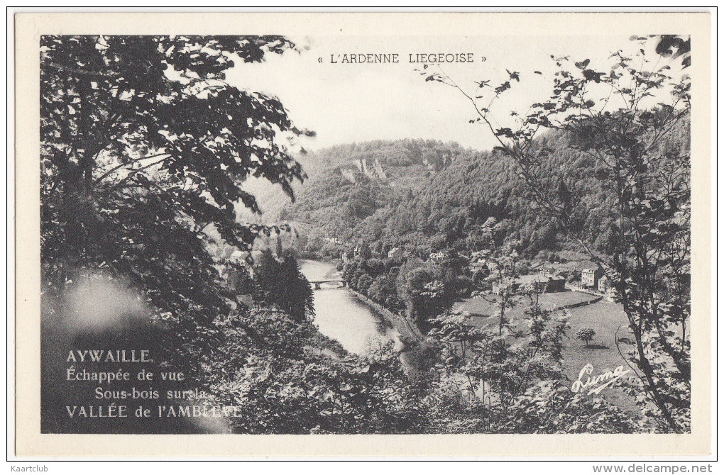 Aywaille - Echappée De Vue Sous-Bois Sur La Vallée De L'Ambleve - ( Edit. LUMA) - Belgique / Belgie - Aywaille