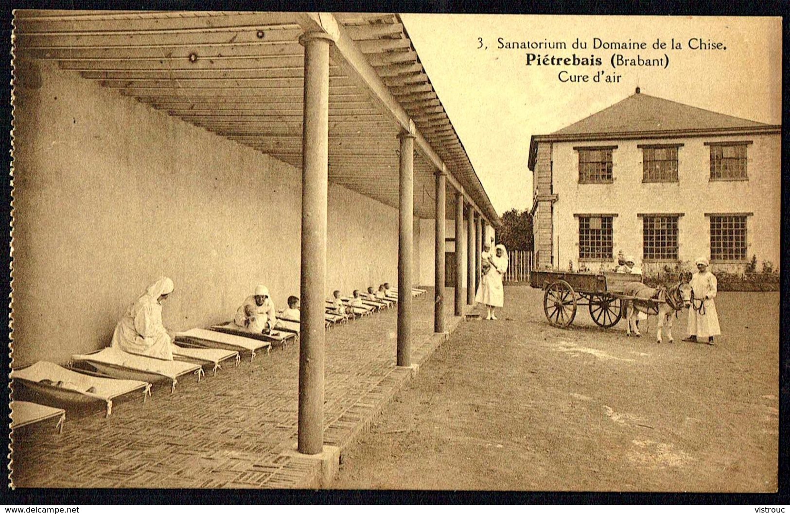 PIETREBAIS - Sanatorium Du Domaine De La Chise - Cure D'air - Non Circulé - Not Circulated - Nicht Gelaufen - Incourt