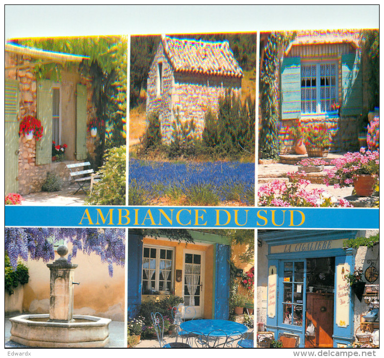 Ambiance Du Sud, France Postcard Posted 2007 Stamp - Autres & Non Classés