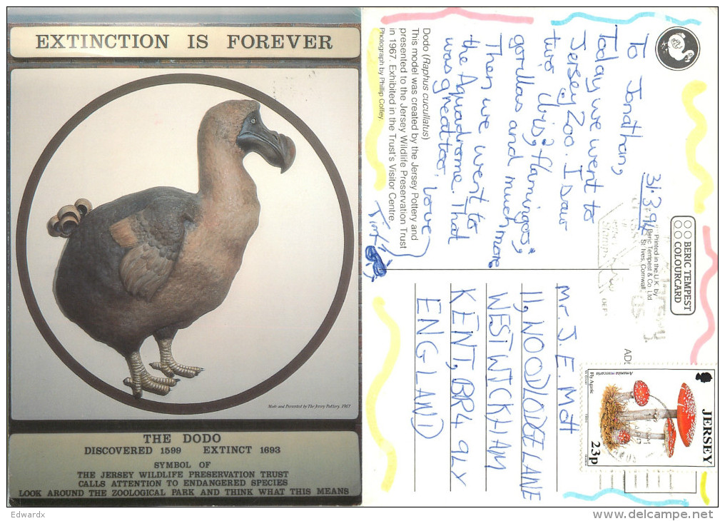 The Dodo, Extinction Is Forever, Jersey Postcard Posted 1994 Stamp - Other & Unclassified
