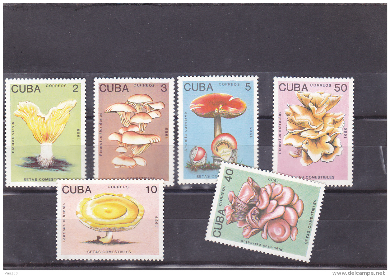 #126   MUSHROOMS, MNH**, 1989, CUBA. - Nuovi