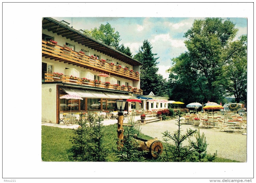 Bad Dürrheim Im Schwarzwald - Hotel - 7737 - Fontaine à Eau Dans Tronc Arbre Réverbère - Bad Duerrheim