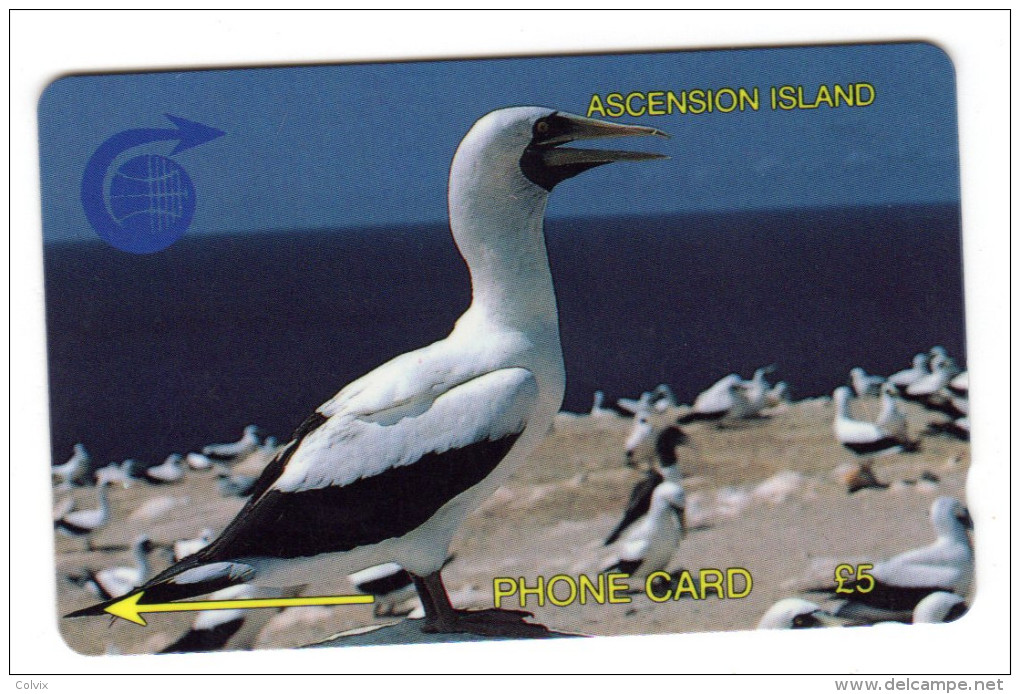 ASCENCION REF MV CARDS ASC-M-2A  2CASA BIRD - Isole Ascensione