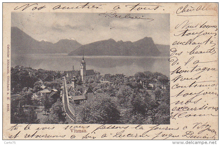Suisse - Vitznau - Précurseur Postmarked 1901 - Vitznau