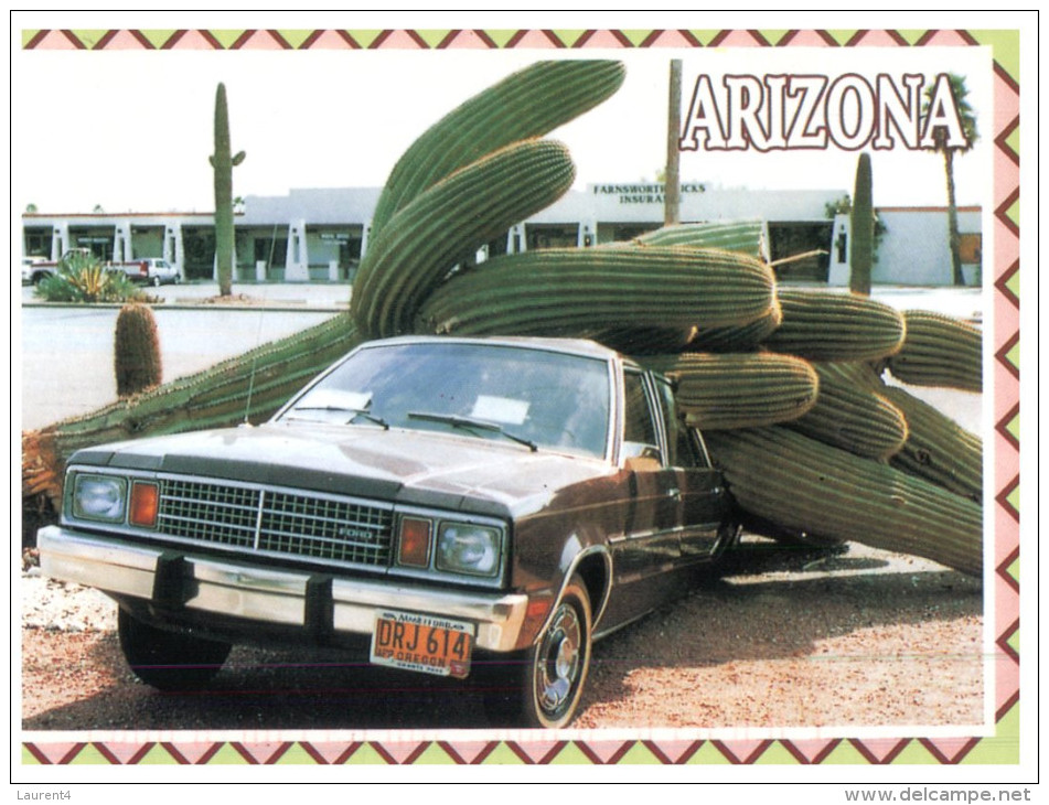 (M+S 448) USA - Arizona Car And Cactus - Cactusses