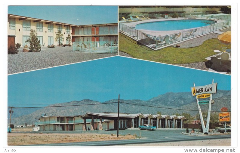 Albuquerque New Mexico American Motor Inn Lodging Route 66, C1950s Vintage Postcard - Route '66'