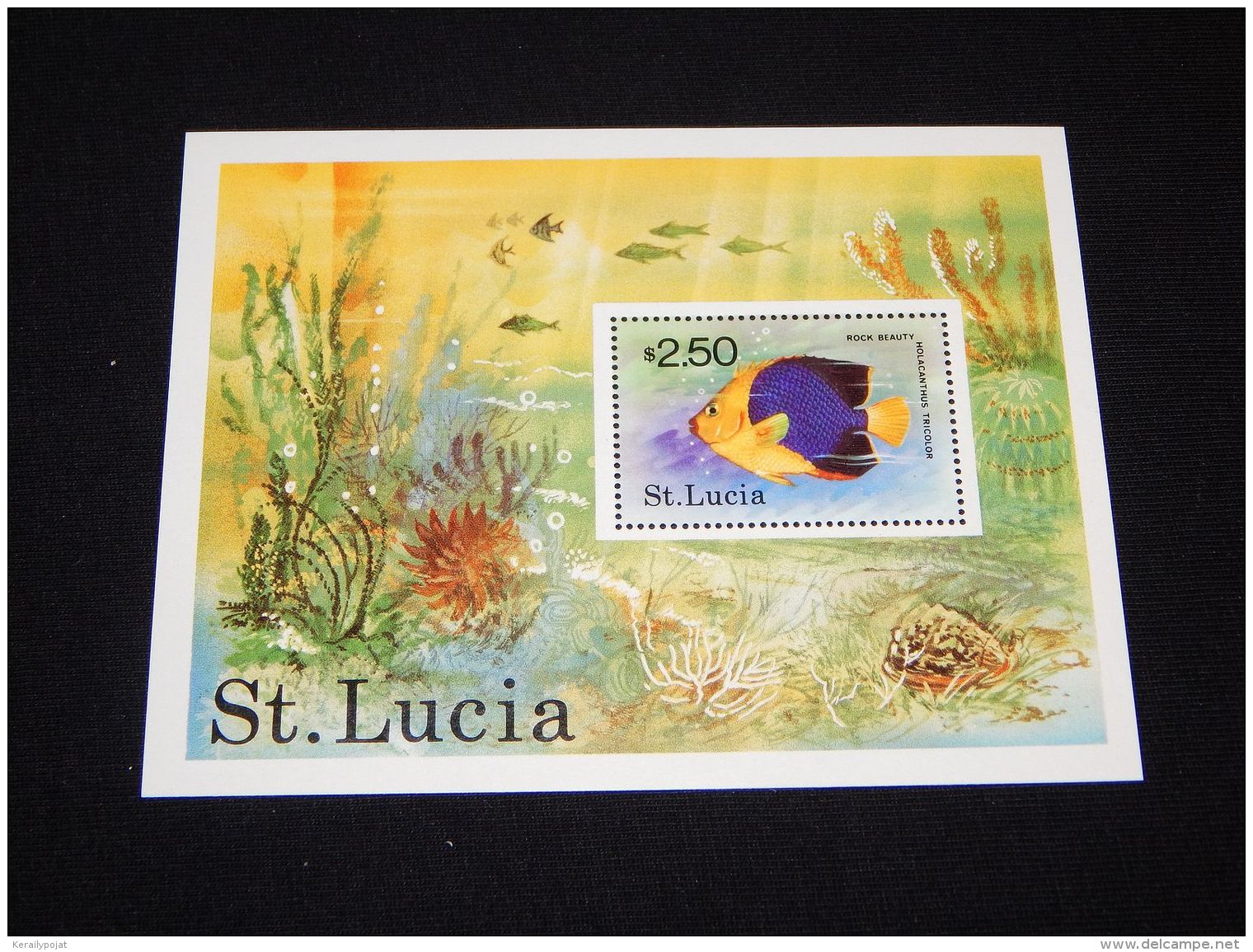 St.Lucia - 1978 Fishes Block MNH__(THB-3294) - St.Lucia (...-1978)