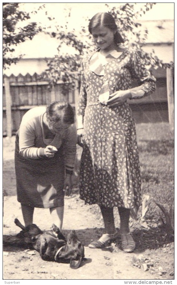 FEMME Et CHIEN / DOG [ TECKEL ] - VRAIE PHOTO / REAL PHOTO - ANNÉE ~ 1930 - ´35 - ROUMANIE / ROMANIA ? (u-672) - Perros