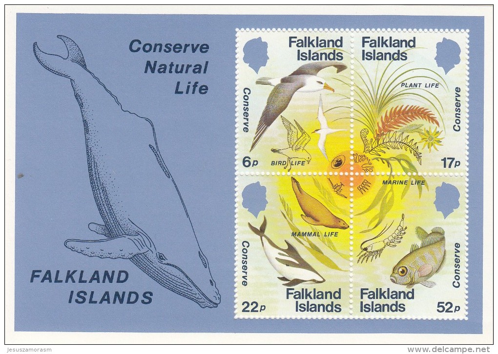 Falkland Hb 4 - Falkland Islands