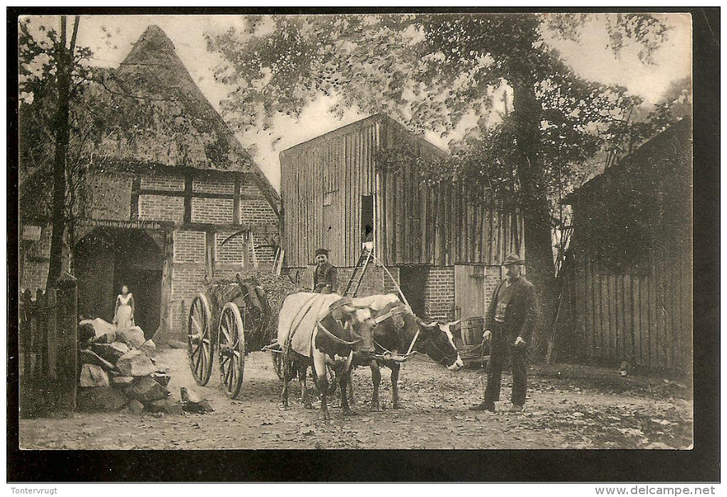 Lüneburger Heide. No.168. Bauernhof-Bauernfamilie-Ocksengespann. Germania Marke. Bahnpoststempel ZUG 468 - Lüneburg