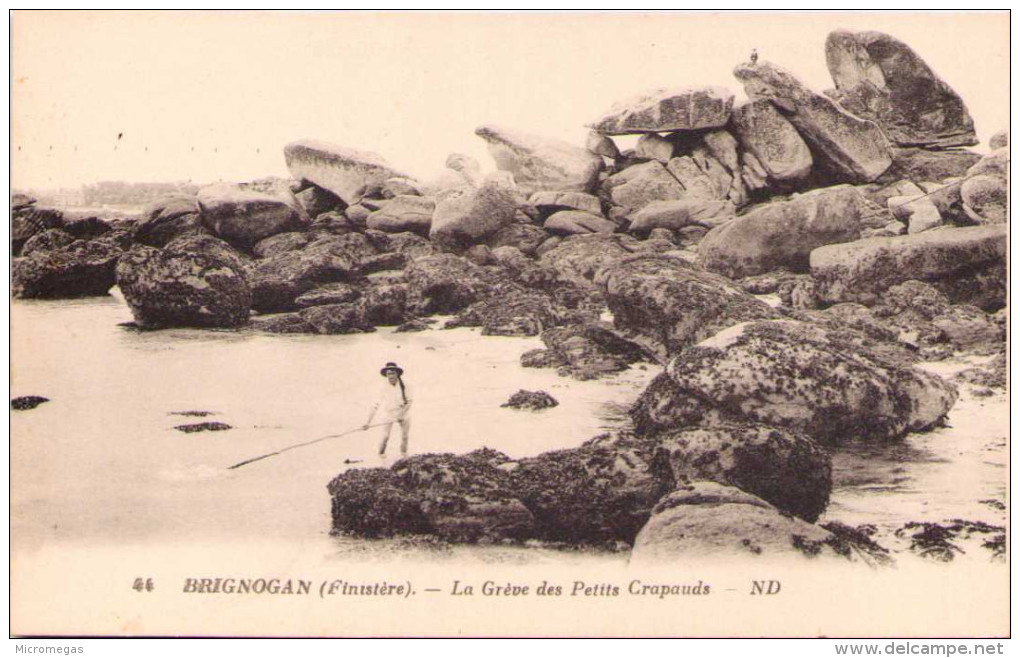 BRIGNOGAN - La Grève Des Petits Crapauds - Brignogan-Plage