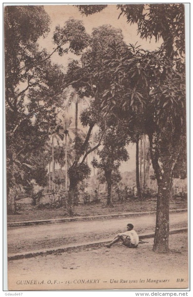 CONAKRY (GUINEE) - UNE RUE SOUS LES MANGUIERS - Guinea Francese