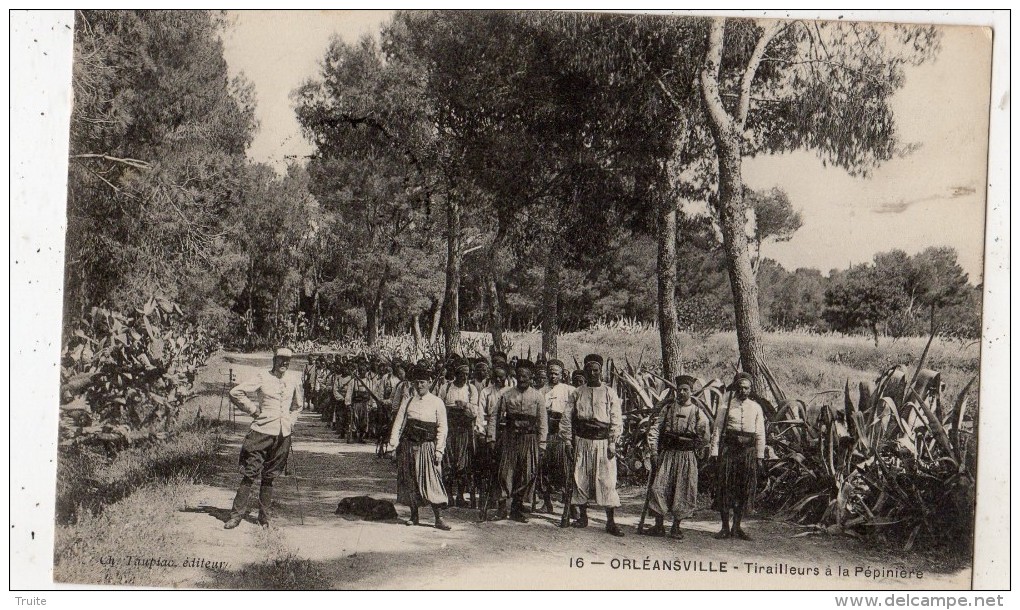 CHLEF (ORLEANSVILLE) TIRAILLEURS A LA PEPINIERE - Chlef (Orléansville)