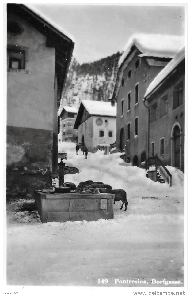 PONTRESINA &#8594; Verschneite Dorfgasse Mit Trinkenden Schafen Am Dorfbrunnen 1938  &#9658;Hôtel-Stempel&#9668; - Trin