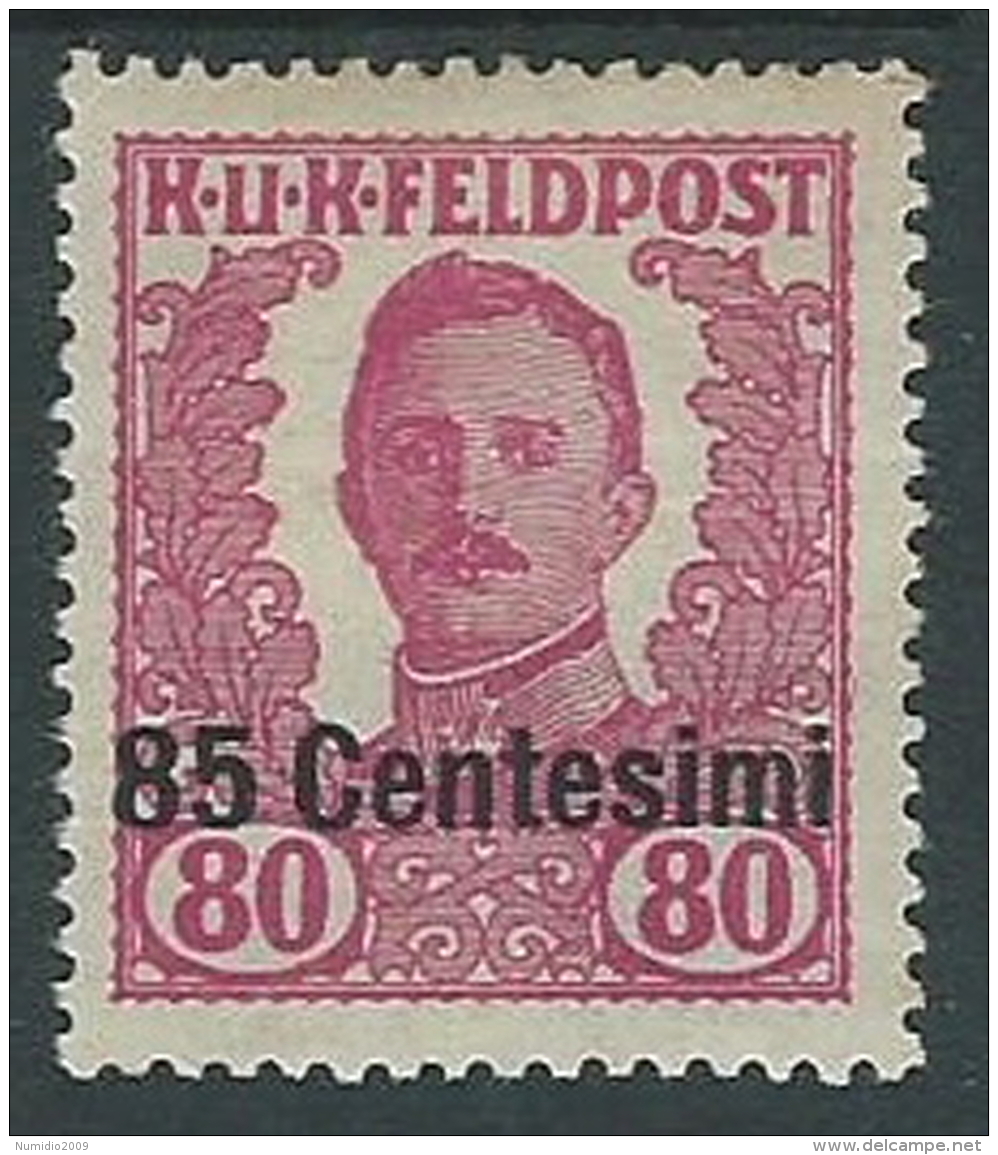 1918 OCCUPAZIONE AUSTRIACA EFFIGIE 85 CENT SU 80 H MH * - P1-3 - Austrian Occupation