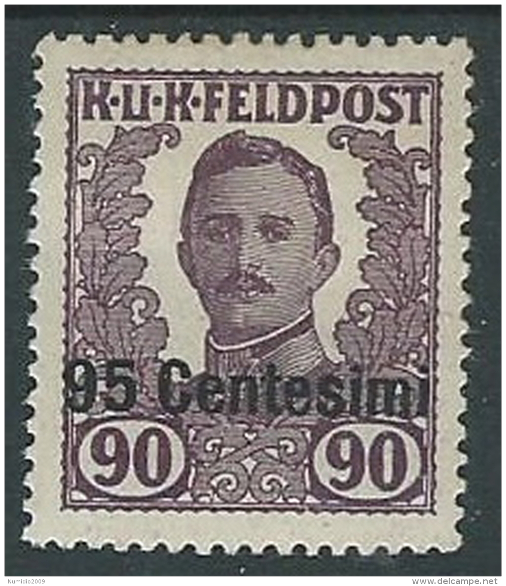 1918 OCCUPAZIONE AUSTRIACA EFFIGIE 95 CENT SU 90 H MH * - P1-3 - Austrian Occupation