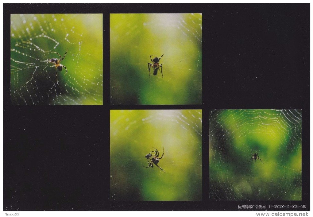 Spider - Webs And Predation Strategies Of Spider, China's Prepaid Card - Spinnen