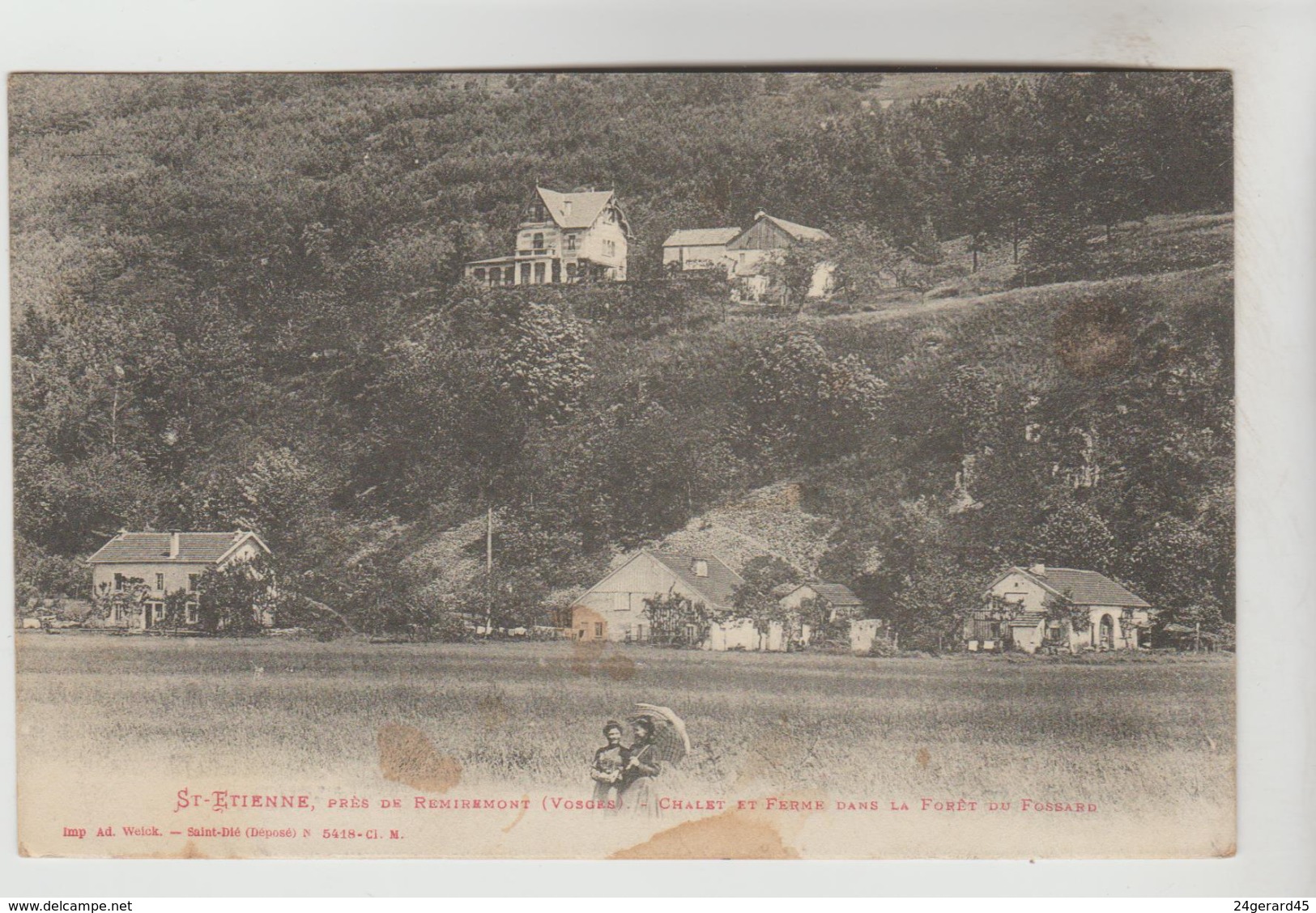 CPA SAINT ETIENNE DE REMIREMONT (Vosges) - Chalet Et Ferme Dans La Forêt Du Fossard - Saint Etienne De Remiremont