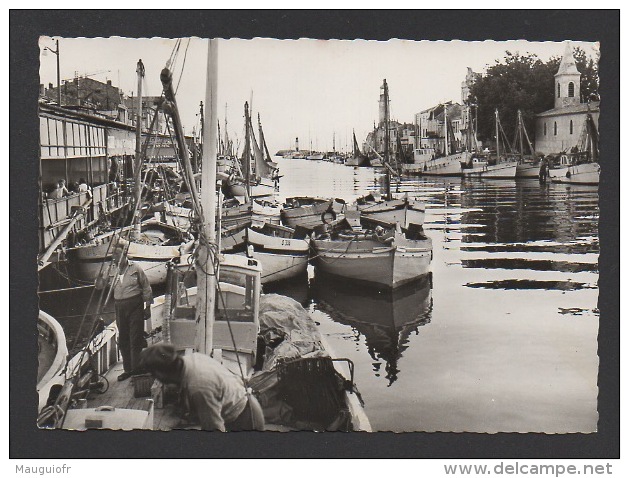 DF / 30 GARD / LE GRAU DU ROI / MARINS SUR LEUR BÂTEAU DE PÊCHE DANS LE PORT - Le Grau-du-Roi