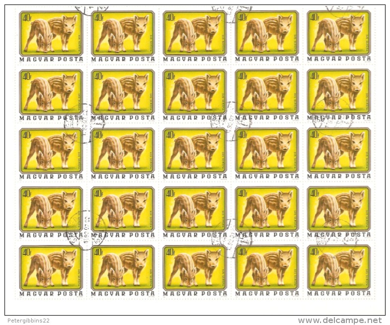 Hungary 1976 3014 Young Wild Boars (50) - Fogli Completi