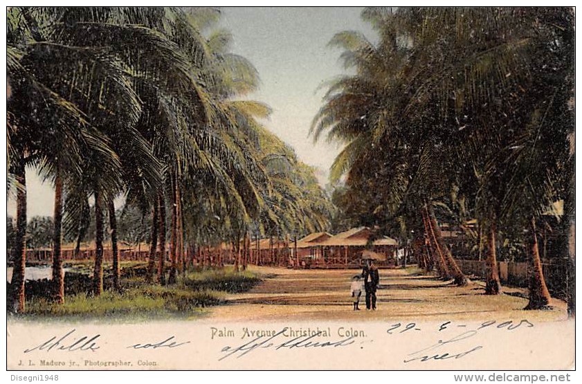 06150 "PANAMA - PALM AVENUE CRISTOBAL COLON" ANIMATA. CART. ILL. ORIG. SPEDITA 1905 - Panama