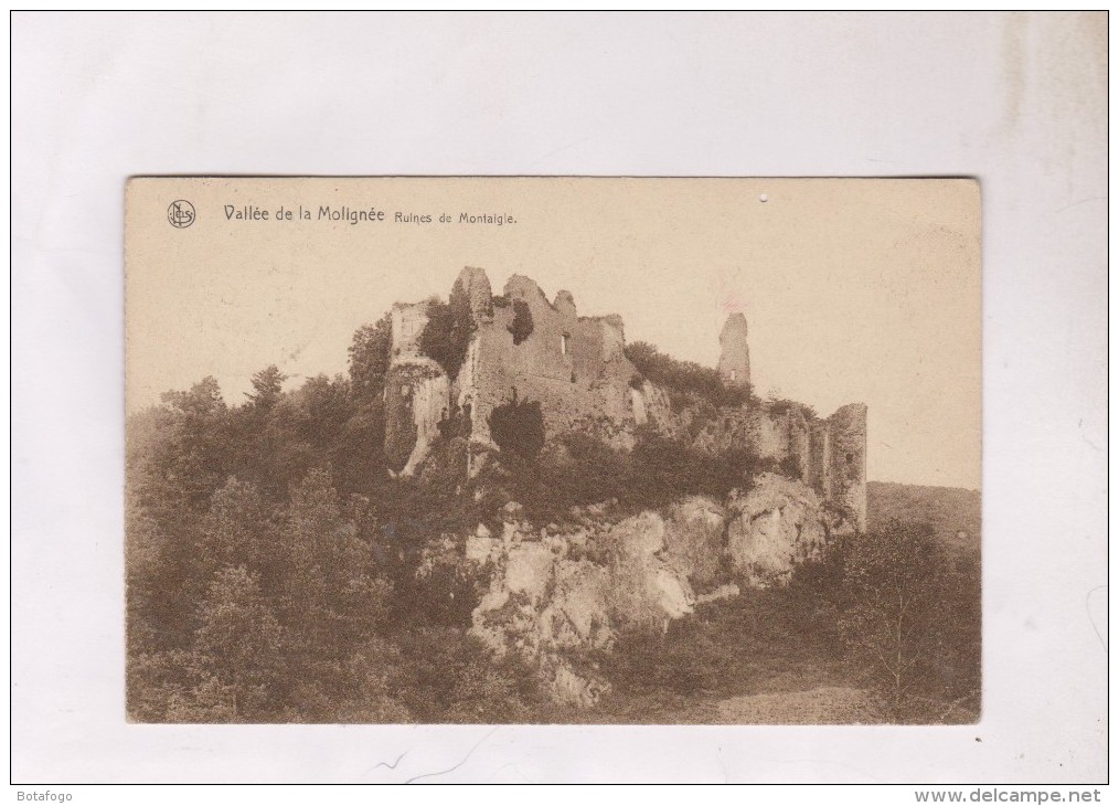 CPA VALLEE DE LA MALIGNEE, RUINES DE MONTAIGLE (voir Timbre) - Ohey