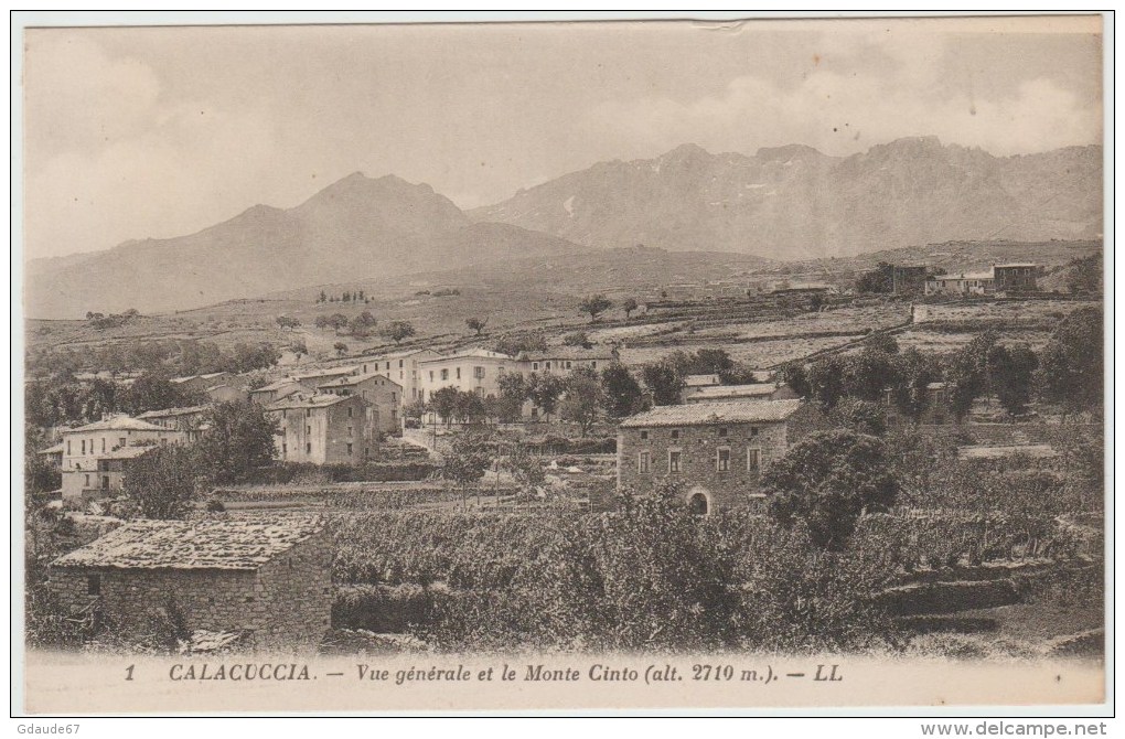 CALACUCCIA (HAUTE CORSE) - VUE GENERALE ET LE MONTE CINTO - Autres & Non Classés