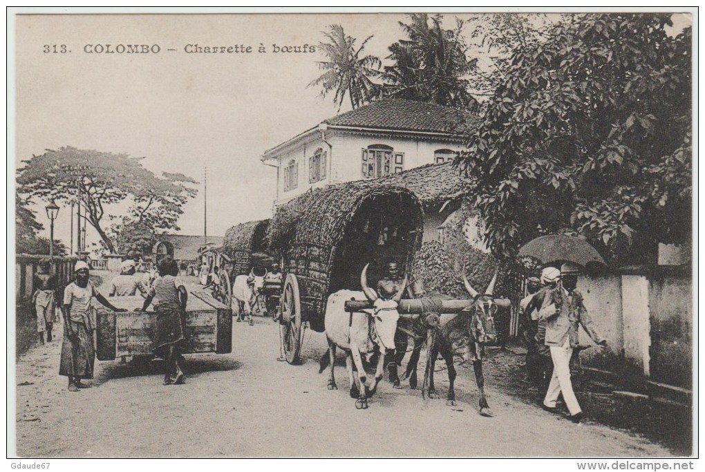 COLOMBO (SRI LANKA / CEYLAN) - CHARETTE A BOEUFS - Sri Lanka (Ceilán)