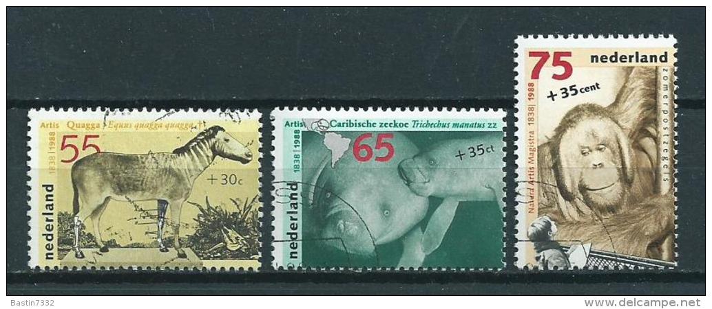 1988 Netherlands Complete Set Artis Zoo,animals,dieren Used/gebruikt/oblitere - Oblitérés