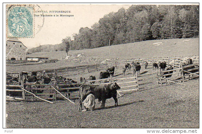 Cantal Pittoresque - Une Vacherie A La Montagne     (88893) - Andere & Zonder Classificatie