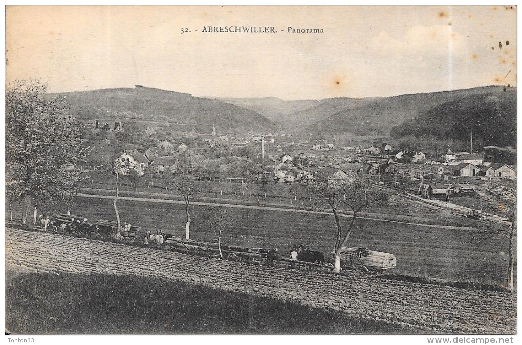 ABRESCHWILLER - 57 - CPA INTROUVABLE Sur Le Site - Panorama Sur La Ville - ENCH0616 - - Other & Unclassified