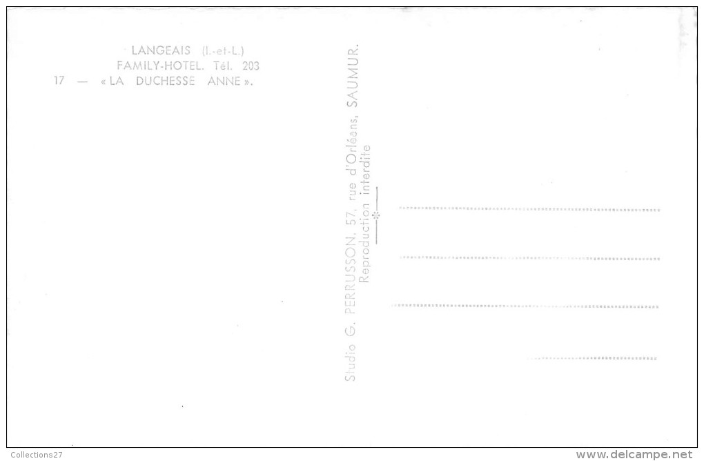 37-LANGEAIS- FAMILY-HÖTEL, LA DUCHESSE ANNE - Langeais
