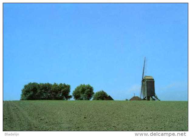 TIELT (W.Vl.) - Molen/moulin - Oudere Landschapsopname Van De Poelbergmolen Met 2 Wieken (ca. 1980) Vóór De Restauratie. - Tielt