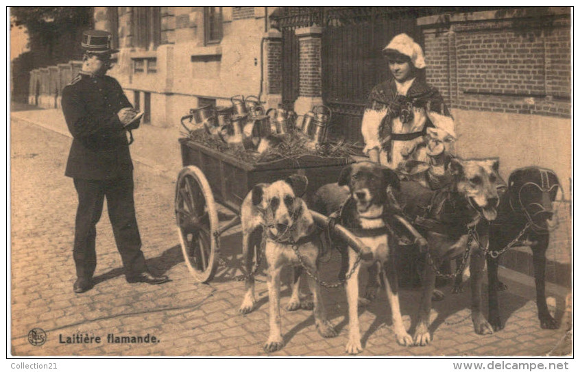 METIER .... LAITIERE FLAMANDE ... ATTELAGE DE CHIEN - Vendedores Ambulantes