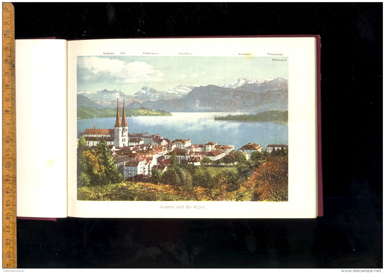 Album Von Vierwaldstaettersee Souvenir Du Lac Des Quatre Cantons Luzern Weggie Vitznau Rigi Beckenried Gersau Treib ... - Zwitserland