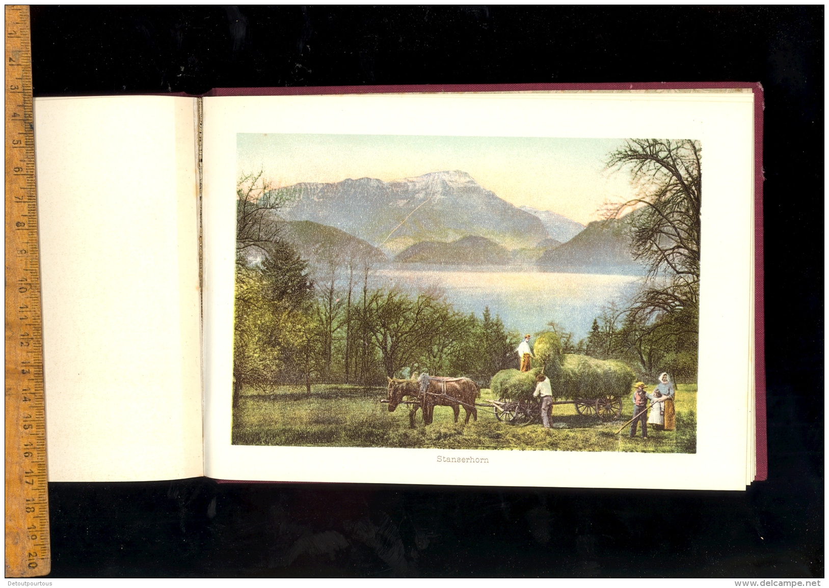 Album von Vierwaldstaettersee Souvenir du lac des quatre cantons Luzern Weggie Vitznau Rigi Beckenried Gersau Treib ...