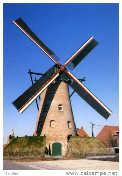 RIJKEVORSEL (Antw.) - Molen/moulin - De Stenen Bergmolen Opgezeild En In Werking Na De Restauratie - Rijkevorsel