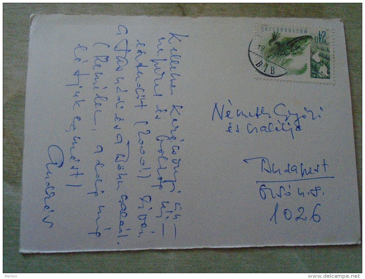 D138461   Hungary  Used Stamps On Postcard   24 Ft 2000's   Madonna - Usado
