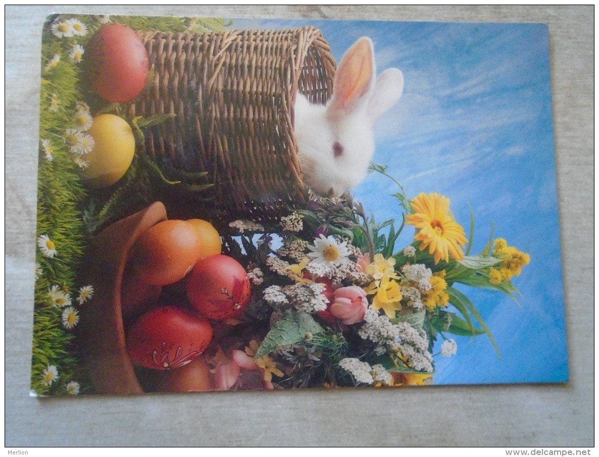 D138463   Hungary  Used Stamps On Postcard   24 Ft 2000's   Easter Rabbit - Usado