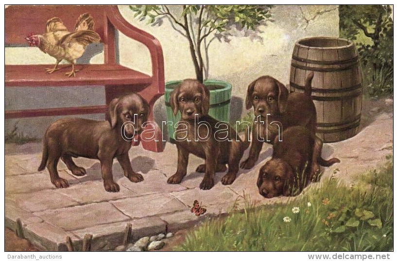 T2/T3 Dog Puppies, T.S.N. Serie 2050. (EK) - Ohne Zuordnung