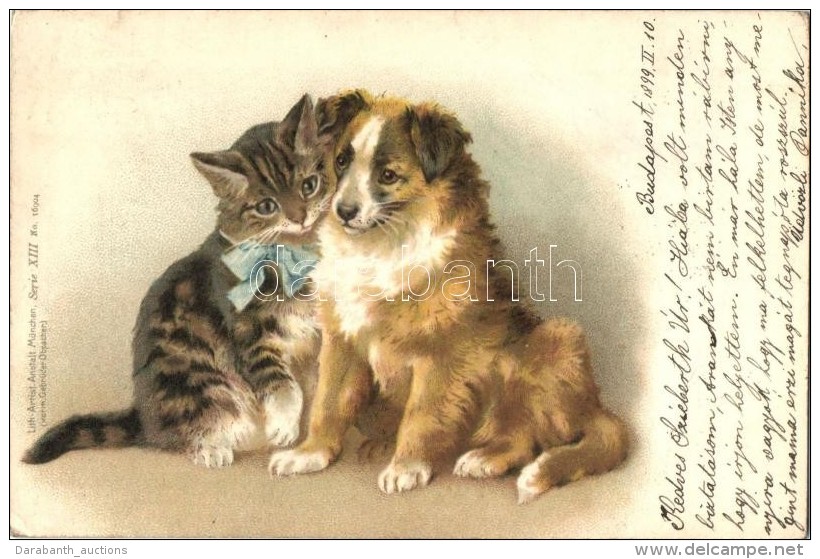 T3 1899 Cat And Dog, Lith-Artist Anstalt München, Serie XIII. No. 16904. Litho (EB) - Ohne Zuordnung